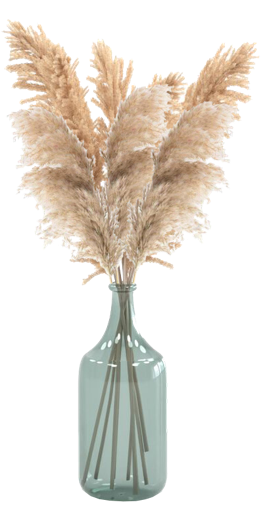 Vase_With_Pampas_Grass_in