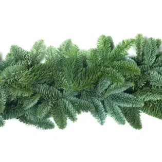 Rope-Garland-