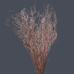 Dried Curly Willow Foliage