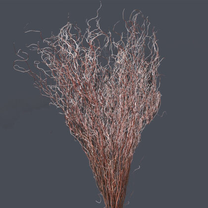 Dried Curly Willow Foliage