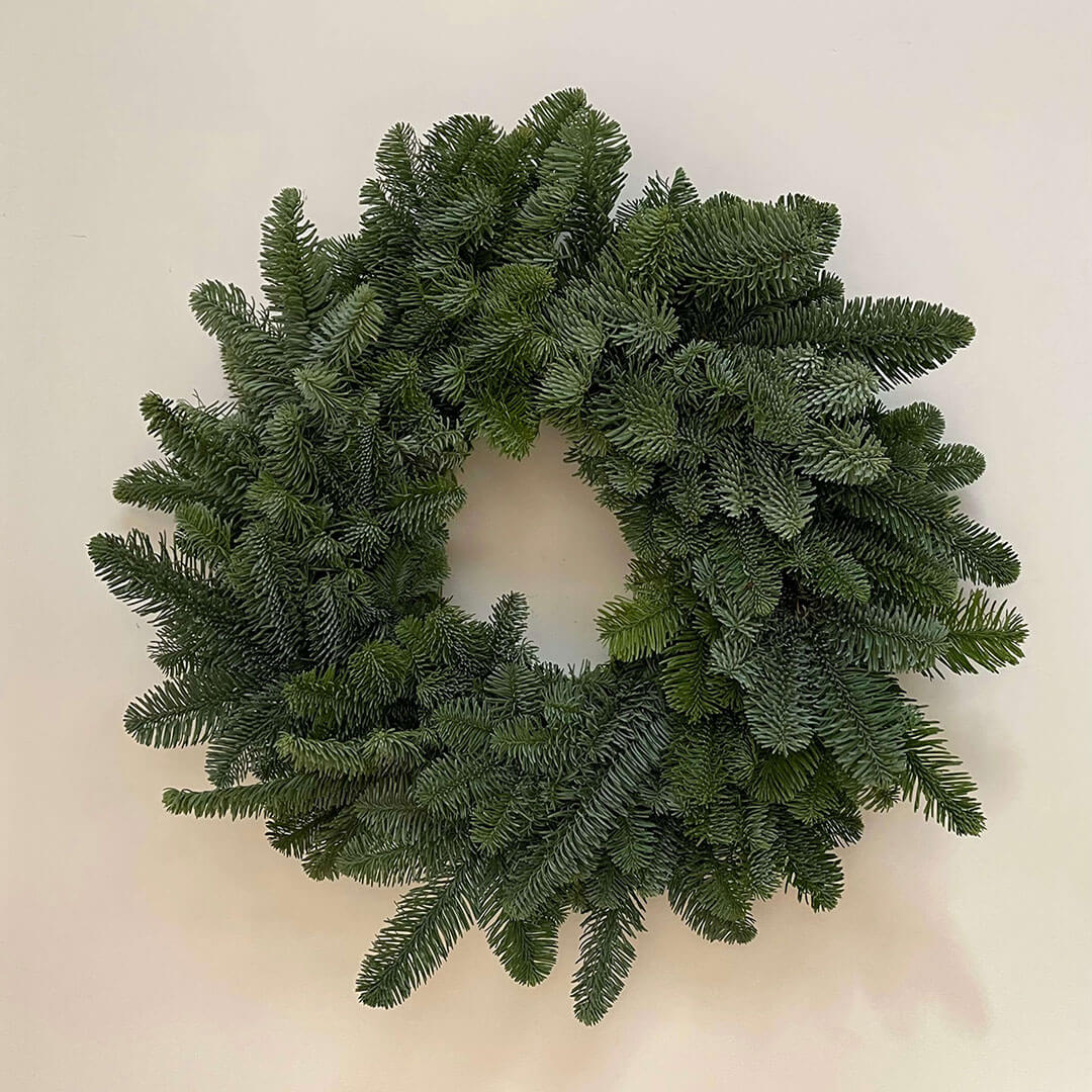 12"Noble Fir Wreath Pines & Co Real Christmas Trees Delivered in