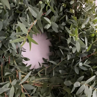 Parvi Wreath close up 3