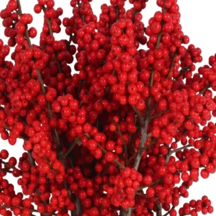 Winter-Berry-2-.jpg