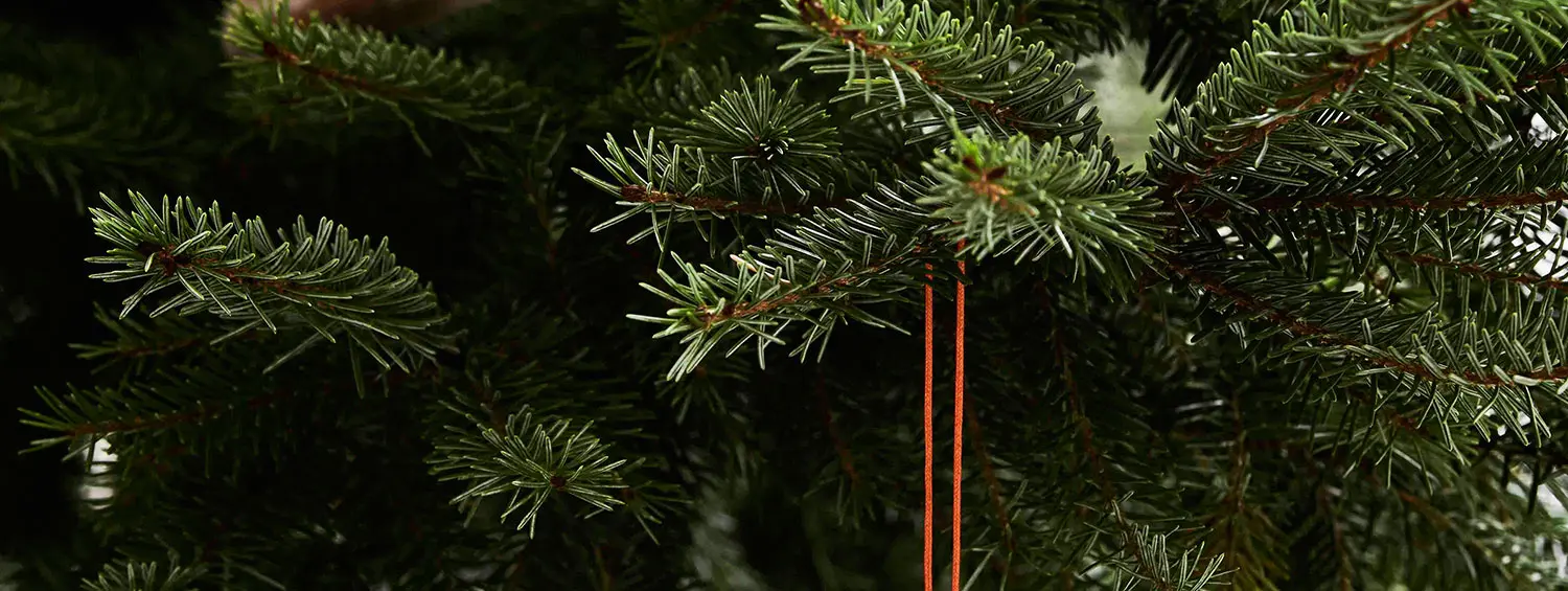 Christmas Concierge service