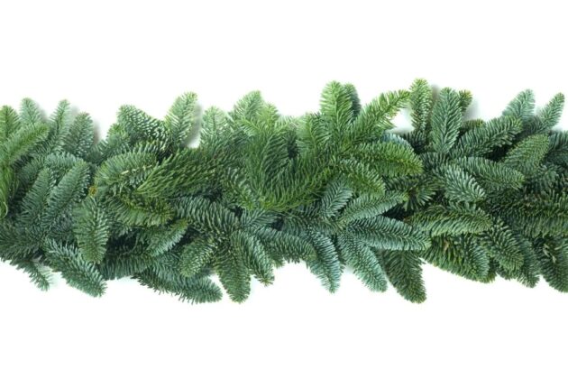 Rope Garland