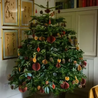 Pine-Co-04-Christmas-Tree-Decorated-Lifestyle-no-lights-Small