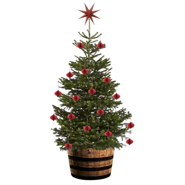 Supreme Christmas Tree