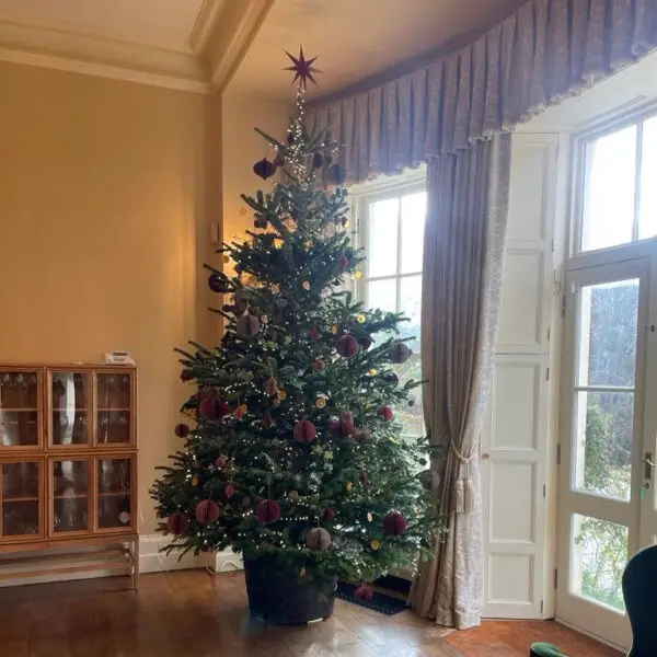 Professional Christmas tree installation service Dublin living room Nordmann fir