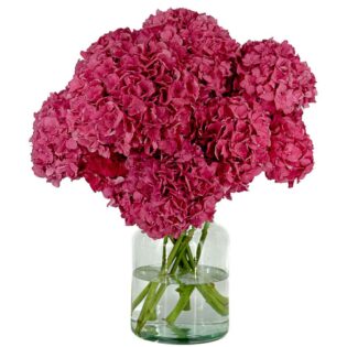 Hydrangea Cherry Pink Studio Hydrangea Cherry Pink Studio