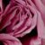 Ballet Pink