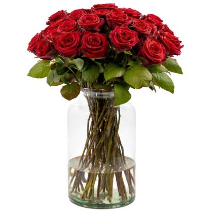 50-Red-roses-in-Orpen-Vase-