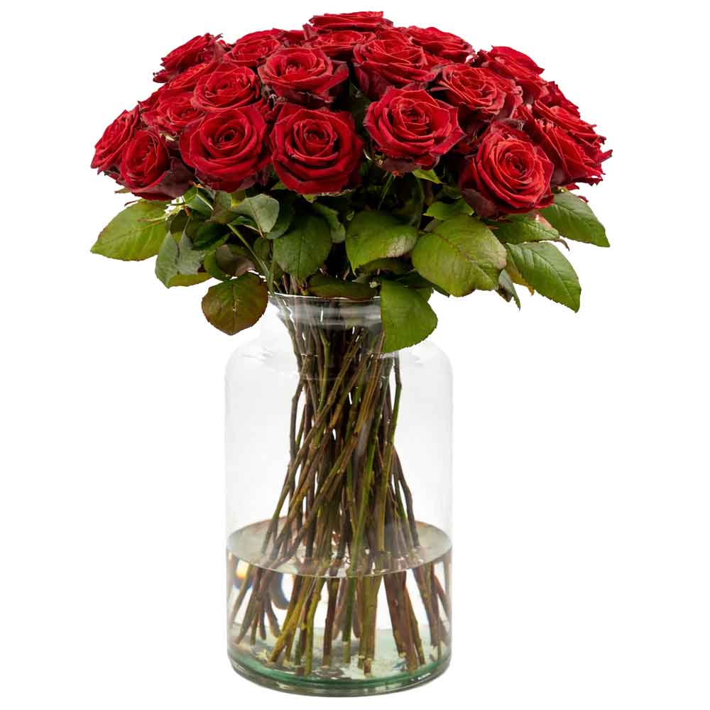 50-Red-roses-in-Orpen-Vase-