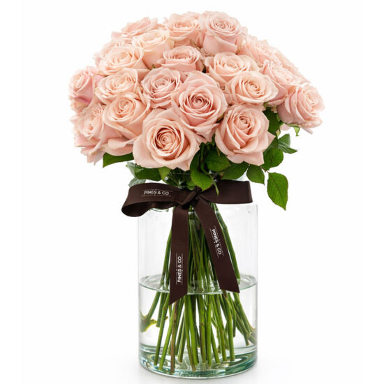 Sweet-Pink-Avalanch-Rose-50---Orpen-large-vase-