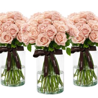 Sweet Pink Avalanche-Roses 500