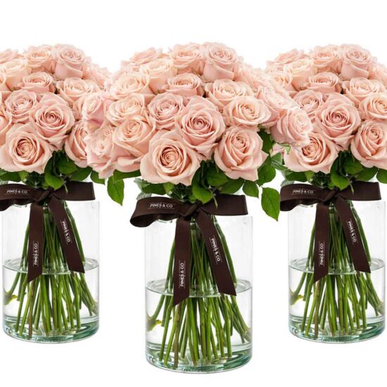 Sweet Pink Avalanche-Roses 500