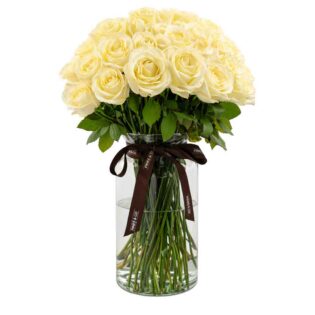 50-White -pearl-roses--1000x1000 Pearl Roses