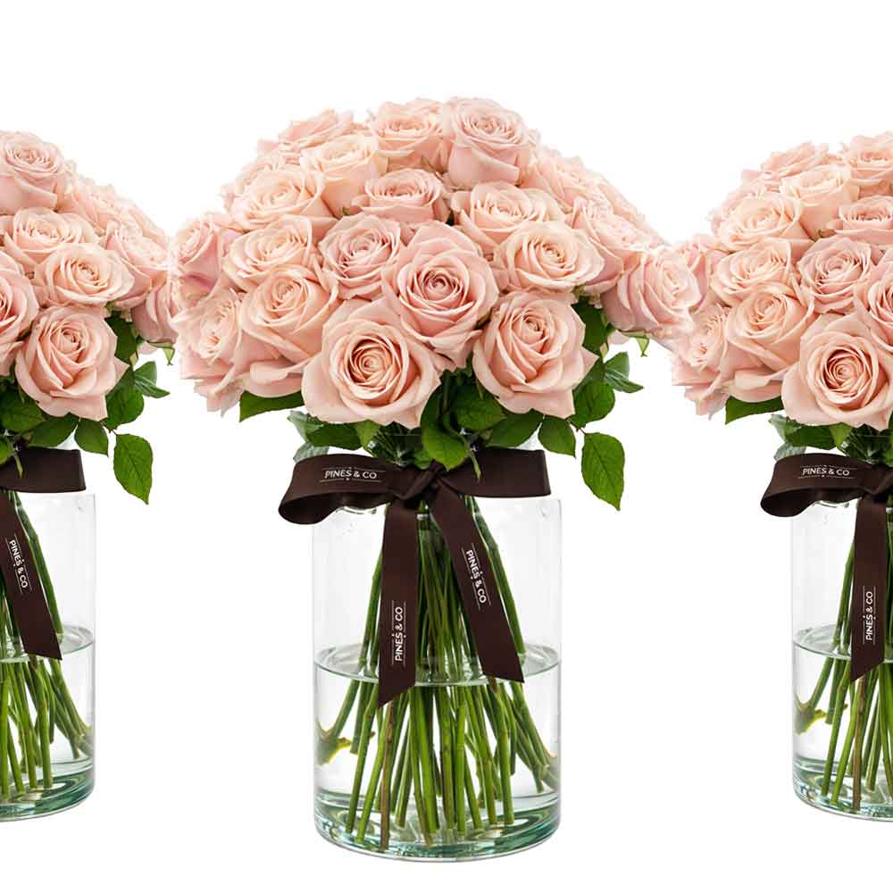 500-pink-roses--v2-1000x1000