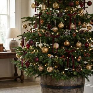 Pines Van – Website (2)