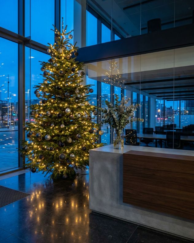 Decorated Nordmann fir. Office Christmas tree sized to fit a corporate reception, with clear space around it for foot traffic.