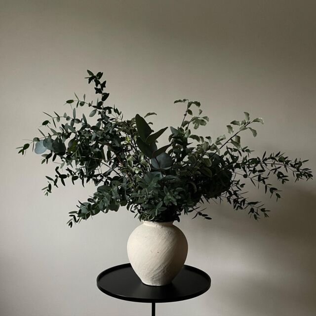 This Friday we are going GREEN  Every Christmas Tree order between 24th - 27th Nov will receive a bunch of foliage with their order  Order now www.pineandco.ie  🌲🌲🌲